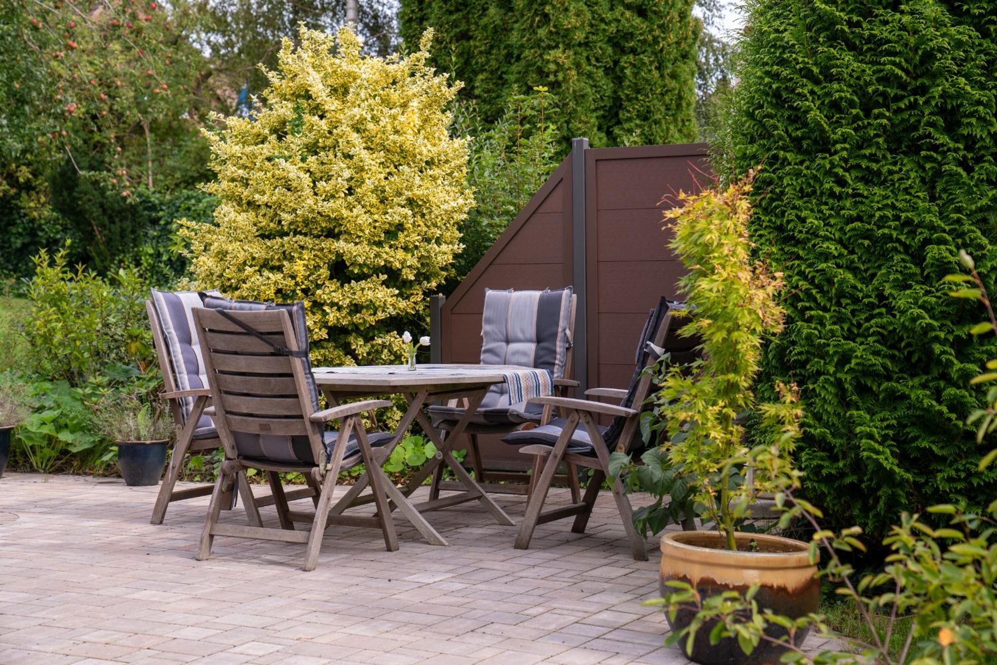 Ferienhaus Seeschwalbe Mit Grossem Garten 埃肯弗德 外观 照片
